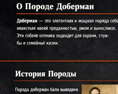 Доберман, портрет